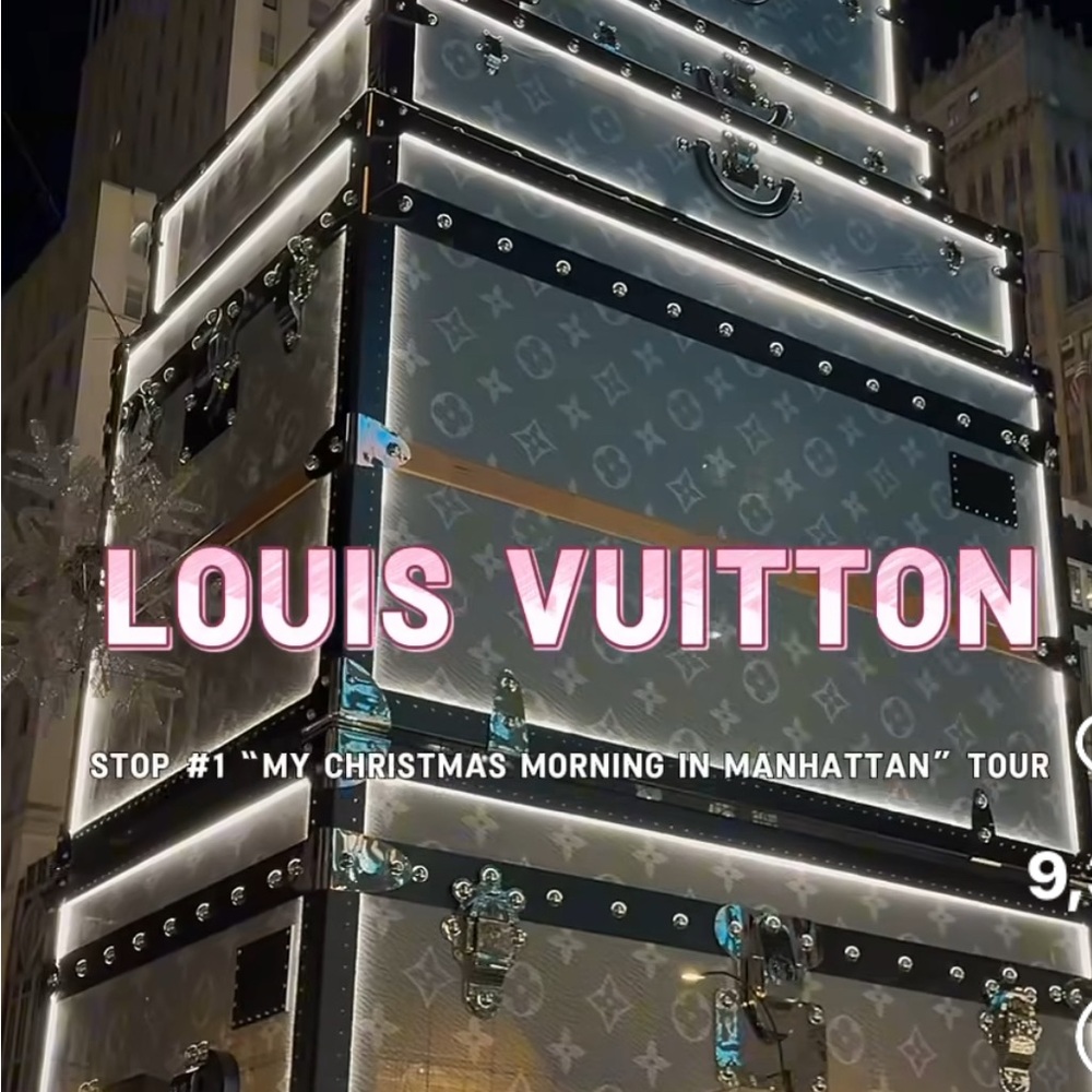 LOUIS VUITTON BAGS